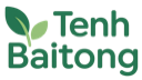 Baitong Logo